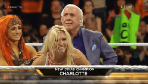 Charlotte belt